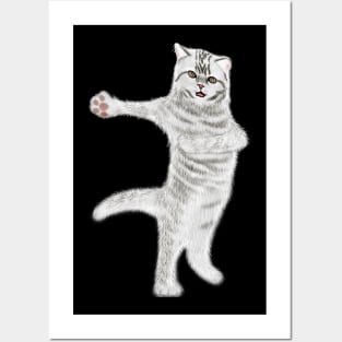 Funny Dancing Cat Lovers Gift Posters and Art